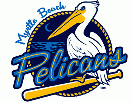 Myrtle Beach Pelicans 2006-pres primary logo iron on transfers for clothing